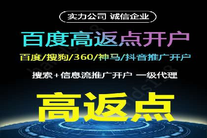 百度SEM广告投放的创意与执行：成功案例详解